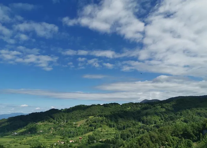 L18 Milmari * Kopaonik